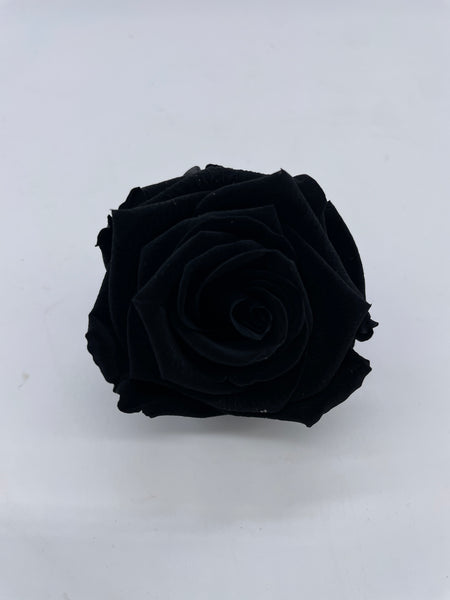 Rose, stabilisiert, konserviert, Trockenblumen, Dried Flowers, Wedding, Hochzeit, Dekoration, Trauerfloristik, Blumen, DIY, schwarz