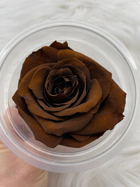 Rose, stabilisiert, konserviert, Trockenblumen, Dried Flowers, Wedding, Hochzeit, Dekoration, Blumen, DIY, braun