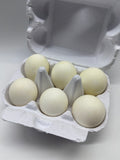 6 Stück, Hühnereier, weiss, Ostereier, leer, Osterdekoration