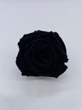 Rose, stabilisiert, konserviert, Trockenblumen, Dried Flowers, Wedding, Hochzeit, Dekoration, Trauerfloristik, Blumen, DIY, schwarz