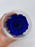 Rose, stabilisiert, konserviert, Trockenblumen, Dried Flowers, Wedding, Hochzeit, Dekoration, Blumen, DIY, royalblau