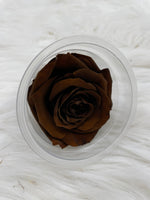 Rose, stabilisiert, konserviert, Trockenblumen, Dried Flowers, Wedding, Hochzeit, Dekoration, Blumen, DIY, braun