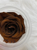 Rose, stabilisiert, konserviert, Trockenblumen, Dried Flowers, Wedding, Hochzeit, Dekoration, Blumen, DIY, braun